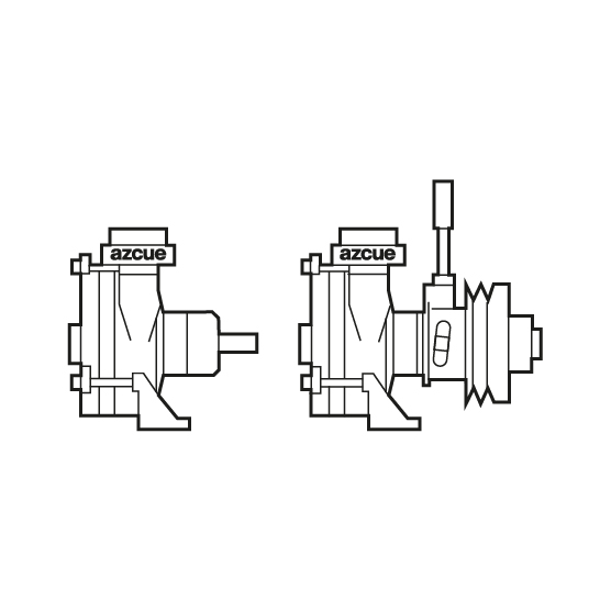 Azcue Pumps